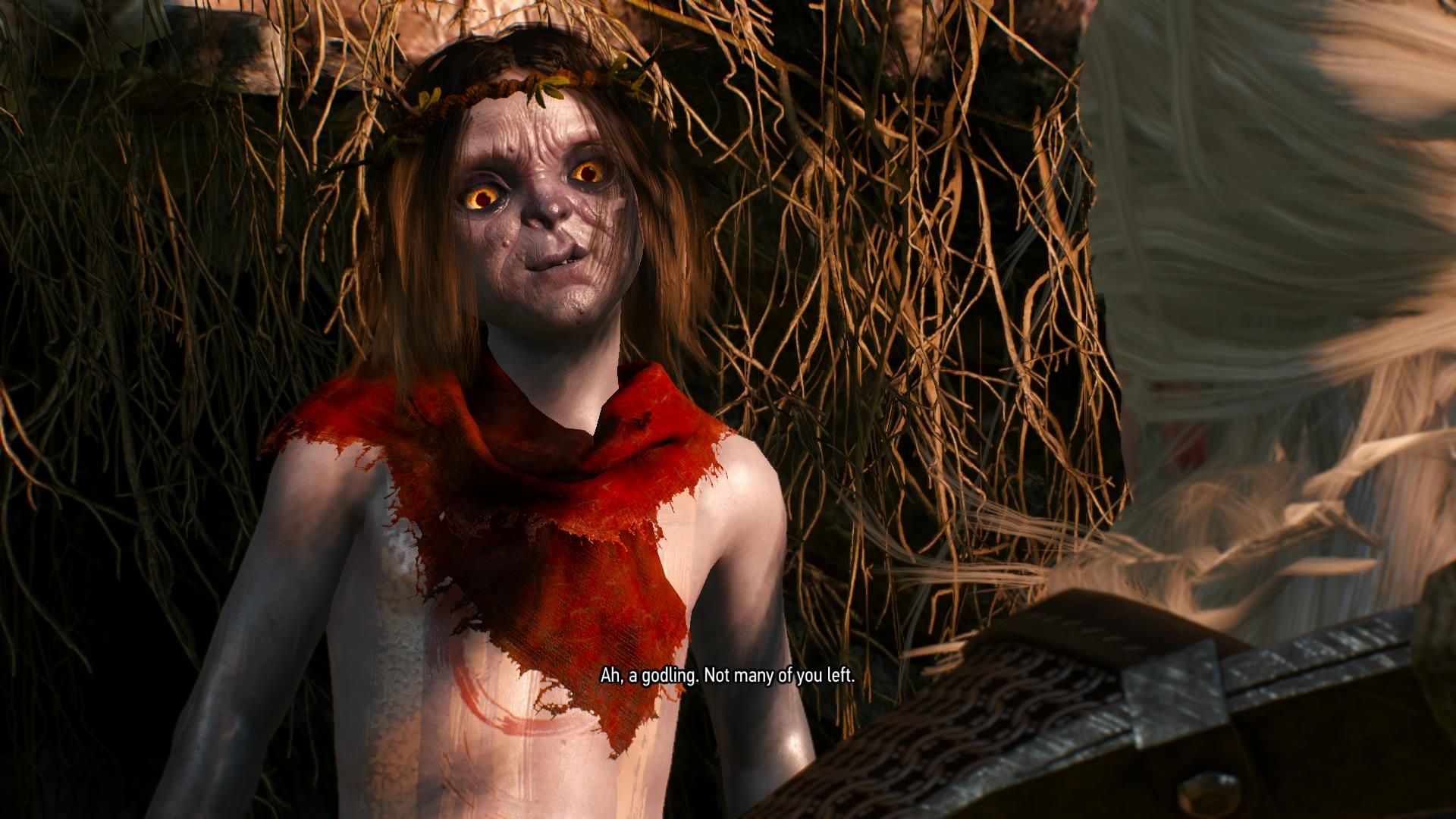 The Witcher 3: Wild Hunt