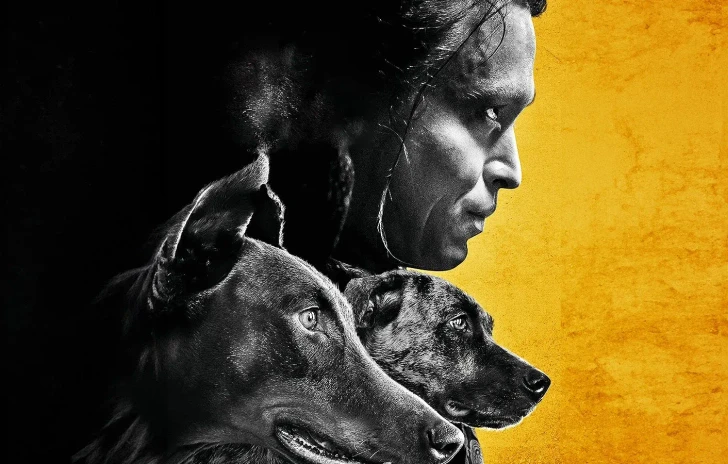 Dogman recensione un furbissimo Luc Besson approfitta dellamore verso i cani