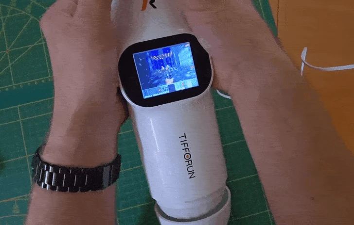 DOOM giocato su un Sex Toy