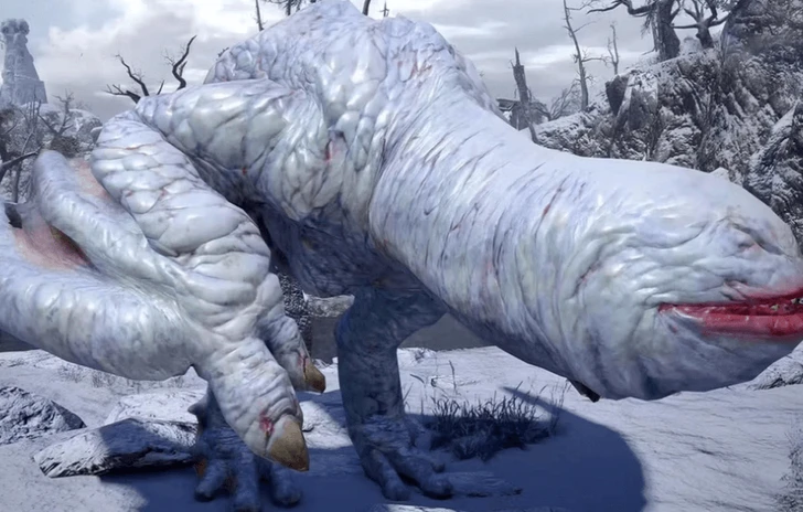 Monster Hunter un Ragno col nome di un Wyvern