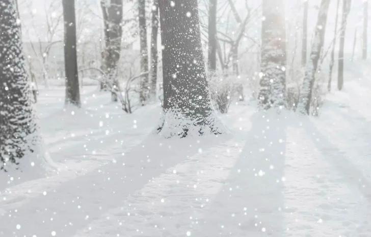 5 film ambientati sulla neve da recuperare secondo le previsioni