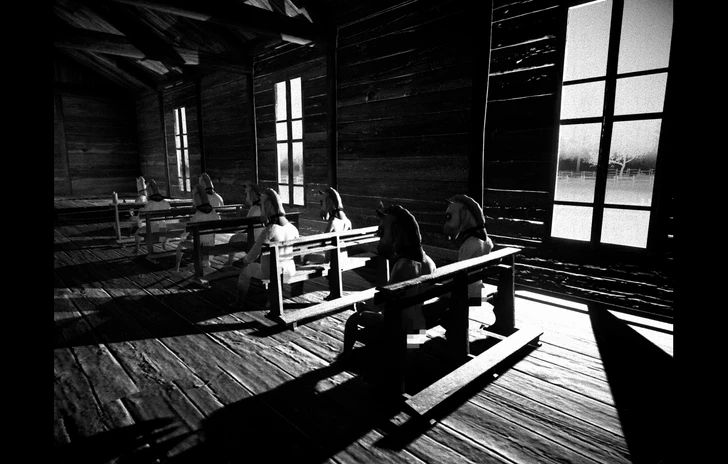 Horses Steam dice no GoG dice sì